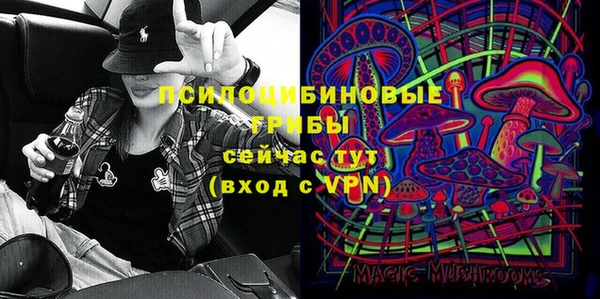 соль ск Елизово