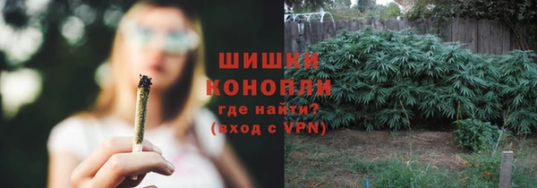 соль ск Елизово