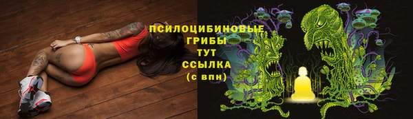 бутират Елабуга