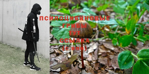 не бодяженный Ельня